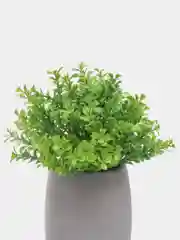 Зеленый декор 2