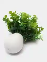 Прозрачный декор 6