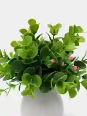 Кораллово-розовый декор 6
