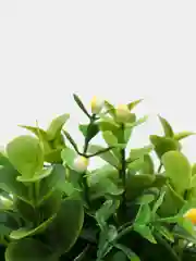 Желтый декор 6