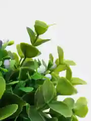 Аметистовый декор 6