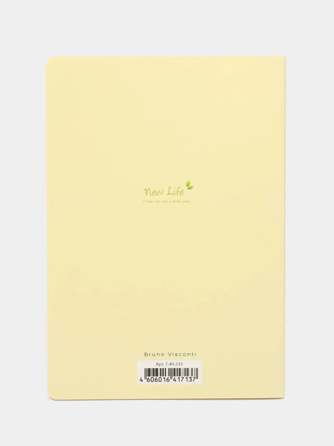 Тетрадь Dreaming Elf, клетка, А5, 40 л, Bruno Visconti