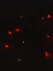 Красный гирлянда новогодняя светодиодная / 100 лампочек / 10 метров