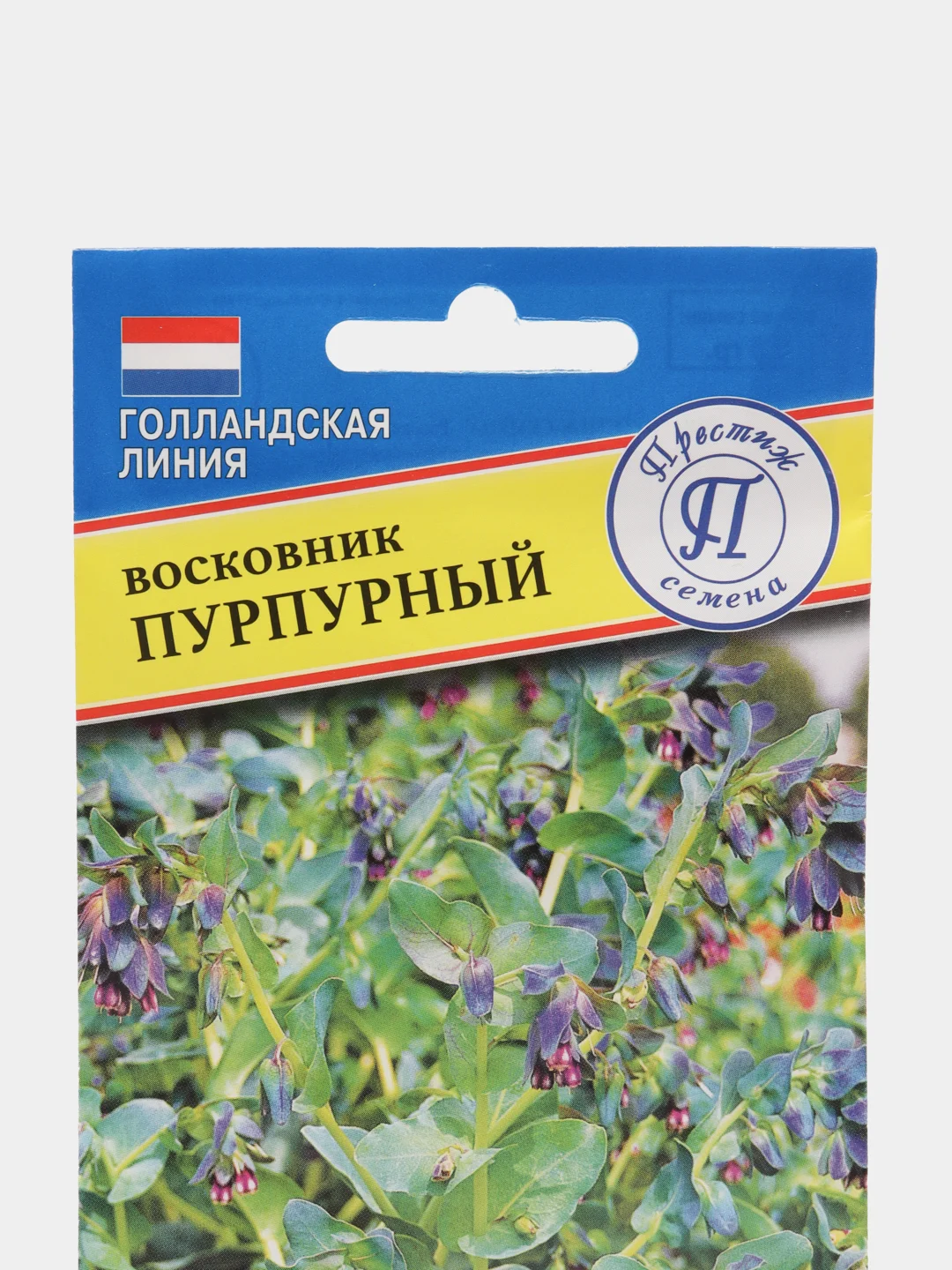 Семена цветов Восковник "Пурпурный"