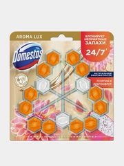 Блок для очищения унитаза Domestos Power 5 Георгин и Драгон Фрукт TRIO