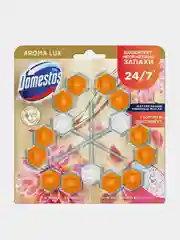 Блок для очищения унитаза Domestos Power 5 Георгин и Драгон Фрукт TRIO