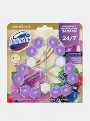 Блок для очищения унитаза Domestos Power 5 Гибискус и Лесные Ягоды TRIO