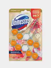 Блок для очищения унитаза Domestos Power 5 Георгин и Драгон Фрукт DUO
