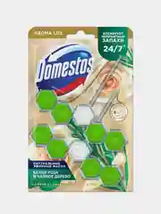 Блок для очищения унитаза Domestos Power 5 Белая Роза и Масло Чайного Дерева DUO
