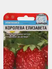 Земляника Королева Елизавета (семена)