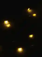 Желтый гирлянда на елку светодиодная нить, роса 10 метров 100 лампочек 8 режимов работы