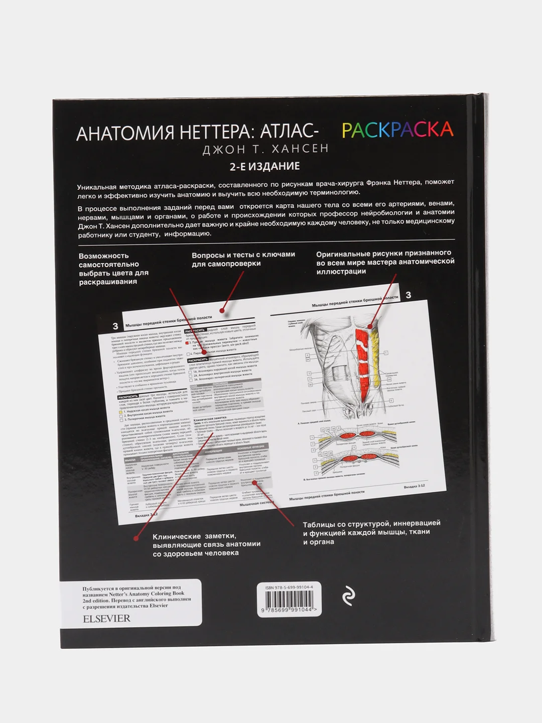 Анатомия Неттера: атлас-раскраска, Джон Хансен