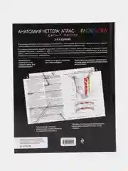 Анатомия Неттера: атлас-раскраска, Джон Хансен