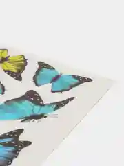 Наклейка интерьерная "Butterfly Dream"