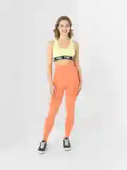 Манго легинсы женские