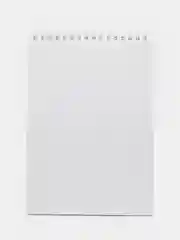 Золотой блокнот на пружине формата А5