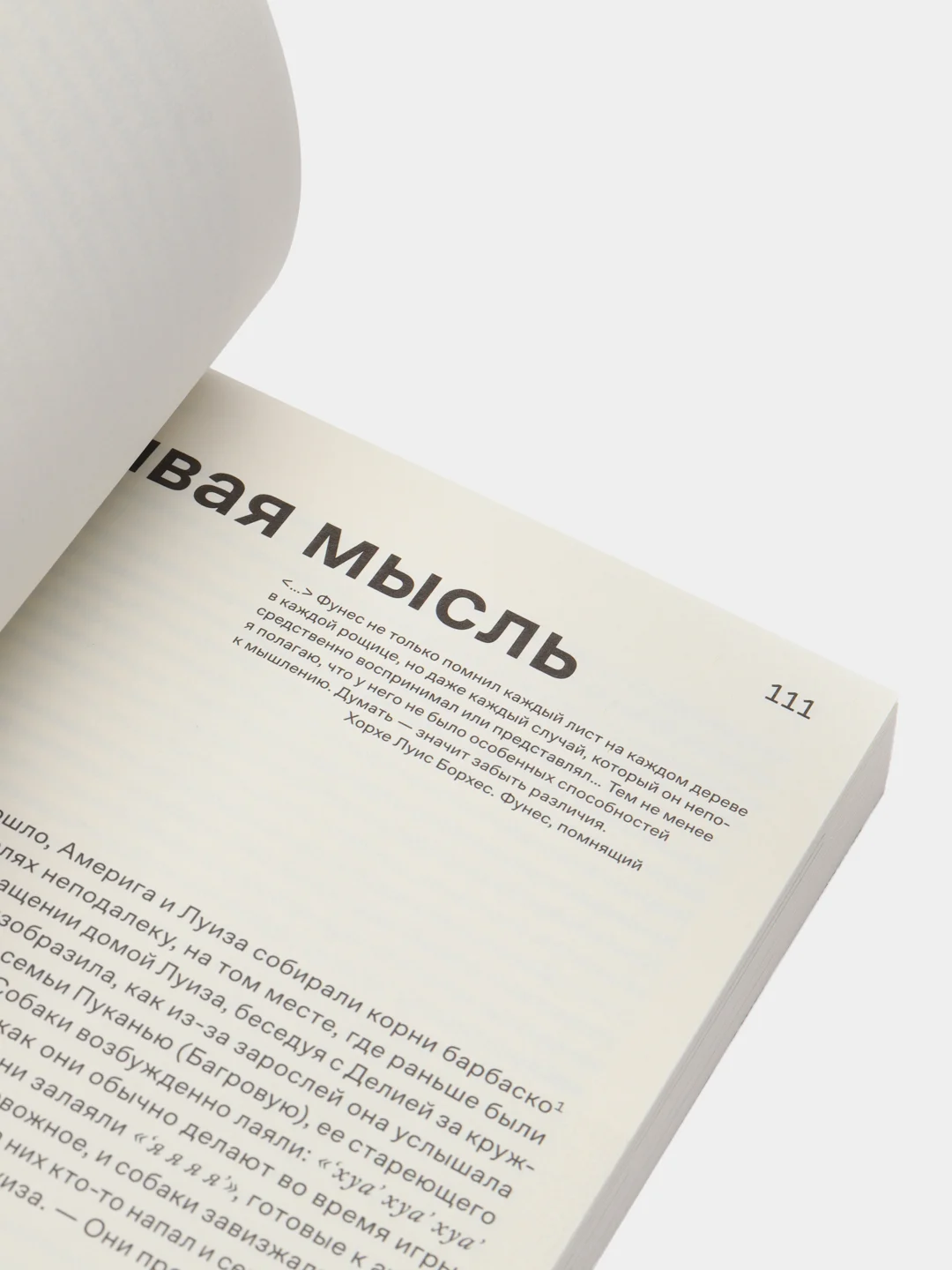 Как мыслят леса: к антропологии по ту сторону человека, Кон Э.
