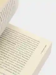 Экономика добра и зла. В поисках смысла экономики от Гильгамеша до Уолл-стрит, Седлачек Т.
