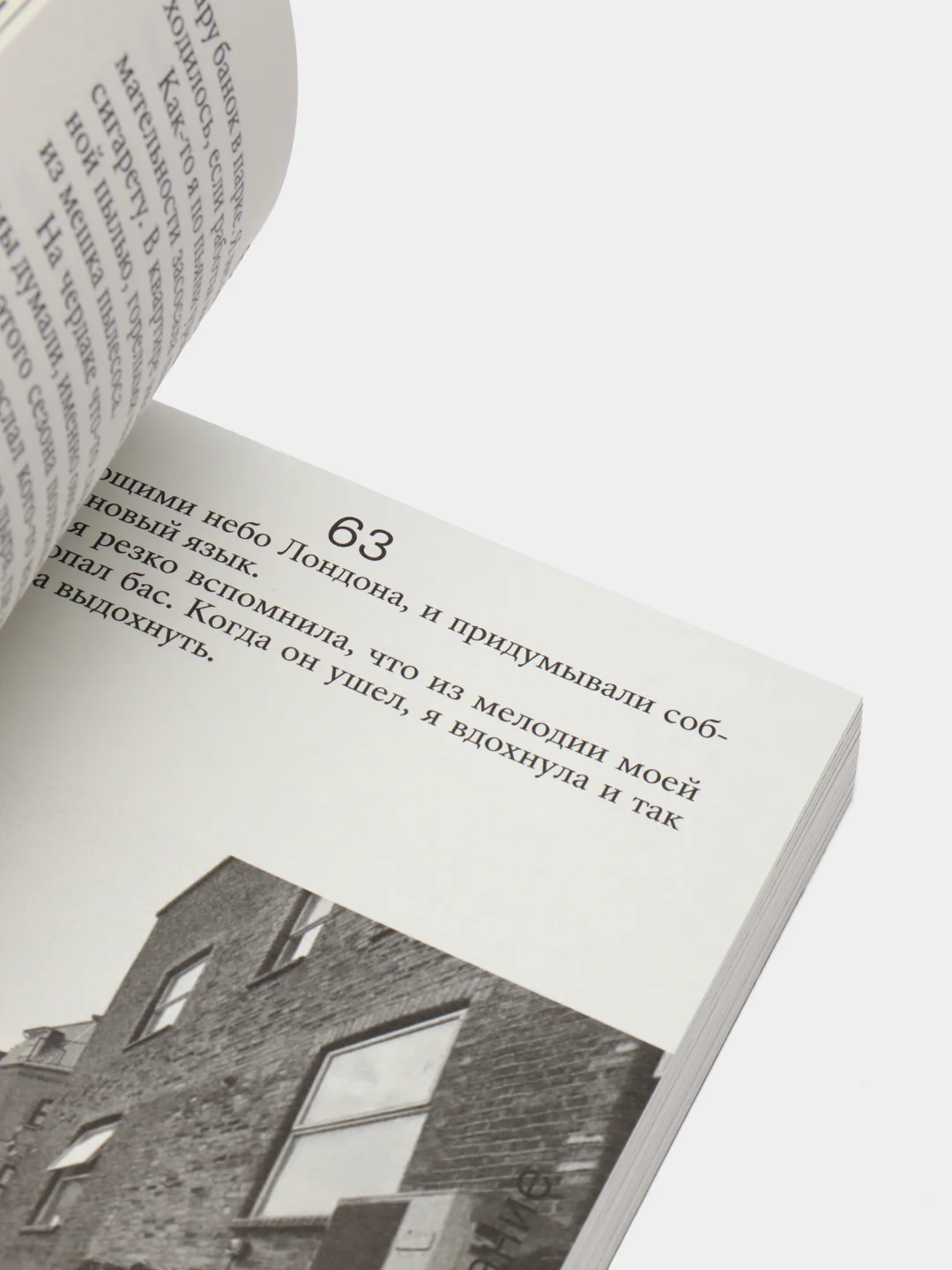 Книга "Выгон"