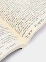 Птицы, искусство, жизнь: год наблюдений, Маклир К.