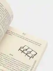Птицы, искусство, жизнь: год наблюдений, Маклир К.
