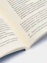 Лето с Бодлером, Компаньон А.