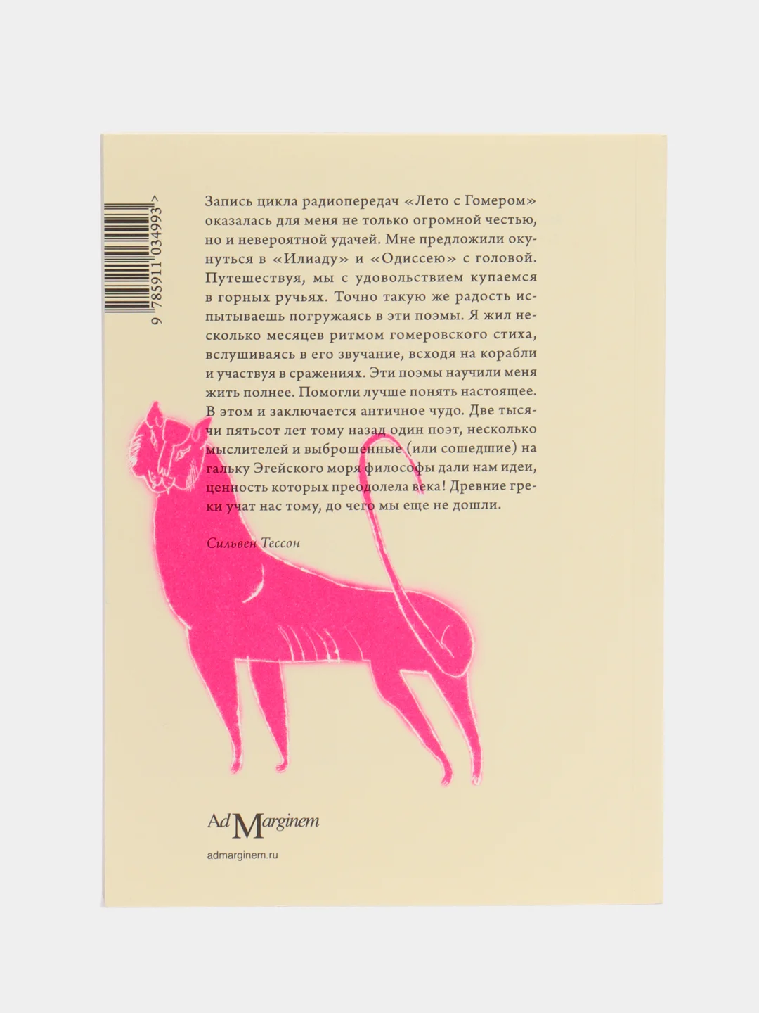 Лето с Гомером, Тессон С.