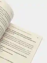 Лето с Гомером, Тессон С.