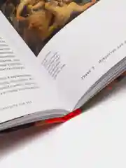 Книга "Лучше посмотреть еще раз"