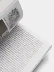 Искусство инсталляции