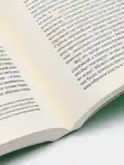Бредовая работа. Трактат о распространении бессмысленного труда