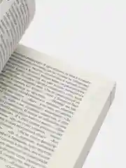 Благоволительницы, Литтелл Д.