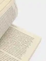 Конец старинной музыки, Хэйнс Б.