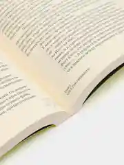 Конец старинной музыки, Хэйнс Б.