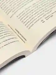Путешествие к Источнику Эха. Почему писатели пьют, Лэнг О.