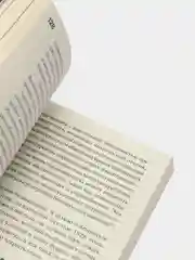 Путешествие к Источнику Эха. Почему писатели пьют, Лэнг О.