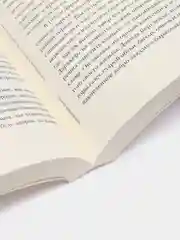 Одинокий город. Упражнения в искусстве одиночества, Лэнг О.