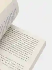 Одинокий город. Упражнения в искусстве одиночества, Лэнг О.