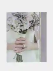 Алый фотоальбомы "Цветы", твёрдая обложка, на 200 фото 10 х 15 см, 24 вида