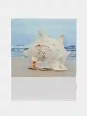 Молочный фотоальбом "Микс", на 200 фото, 10 х 15, твёрдая обложка