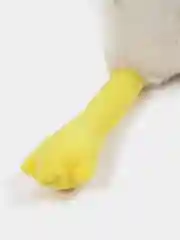 Гусь