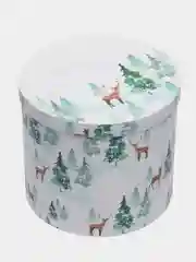 Белый новогодняя коробка