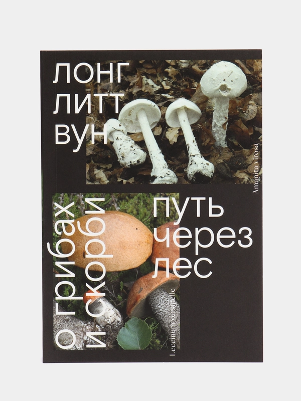 Книга "Путь через лес. О грибах и скорби"