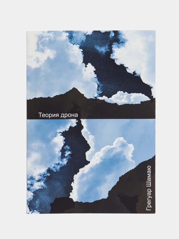 Книга "Теория дрона"