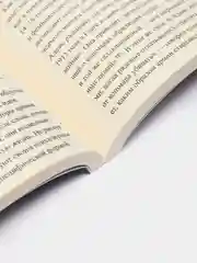 Книга "Теория дрона"