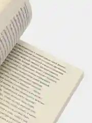 Книга "Теория дрона"