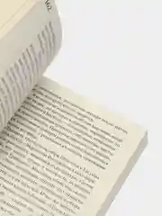 Непредсказуемая погода. Искусство в чрезвычайной ситуации, Лэнг О.