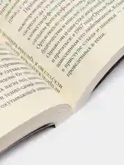 Непредсказуемая погода. Искусство в чрезвычайной ситуации, Лэнг О.