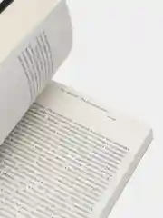 Сердце искателя приключений, Юнгер Э.