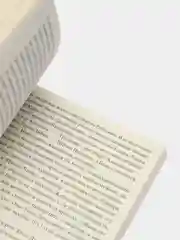 1913. Лето целого века